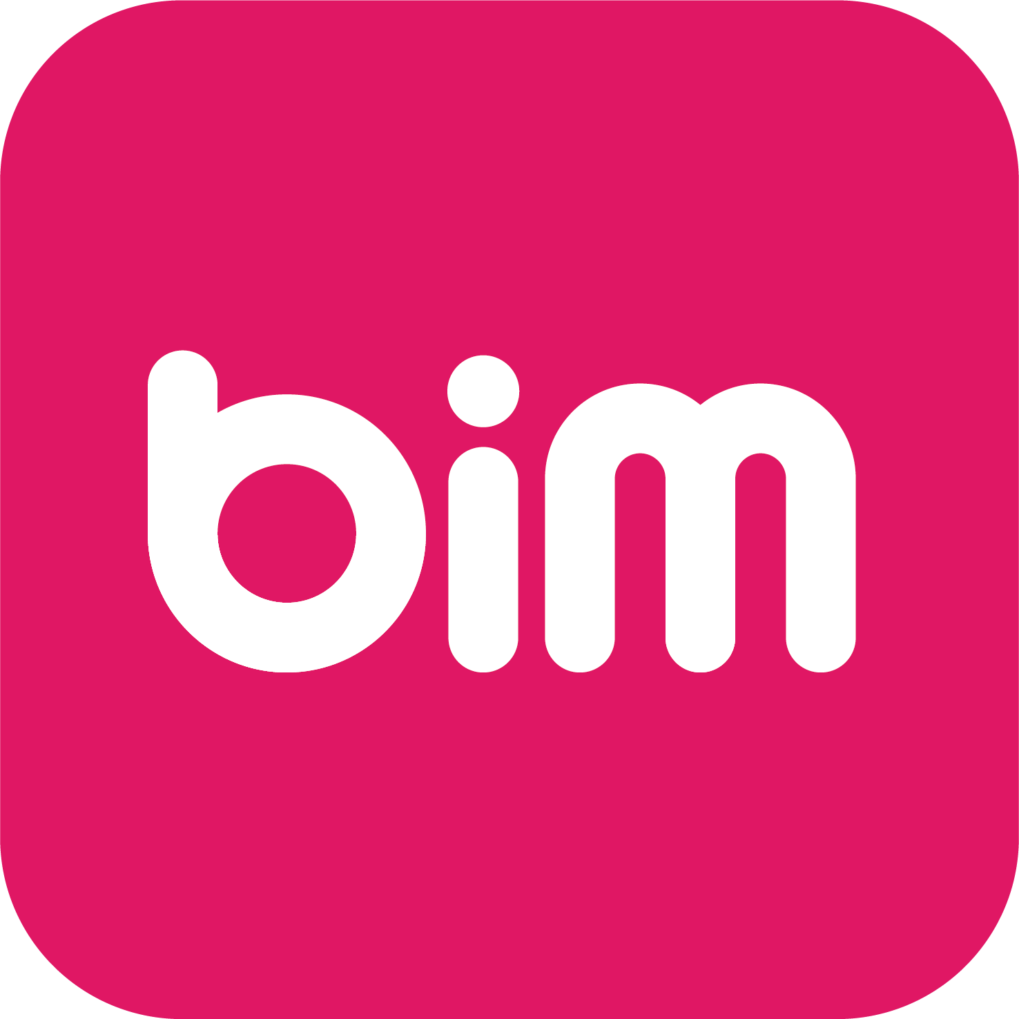 BIM GROUP logo